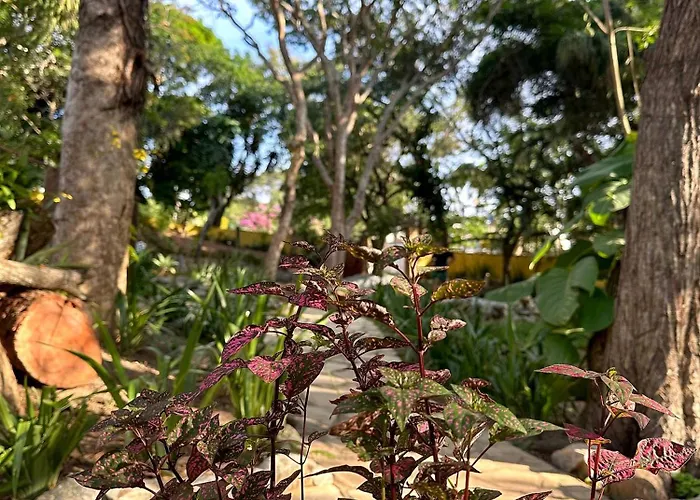 Pousada Bosque Dos Papagaios Búzios